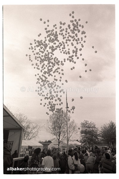 847 - Hulme Gallery (d)