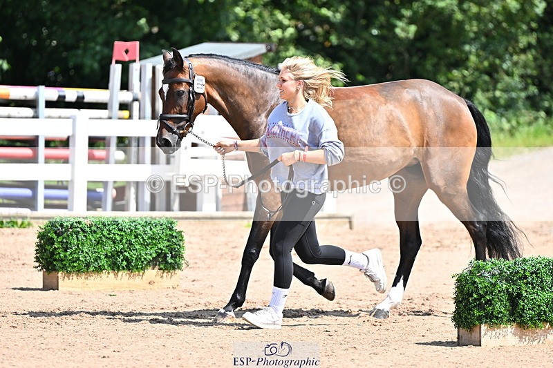 240718A-105244-01093 - Trot Up 12pm to 1pm