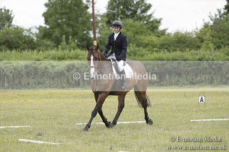 BVR160717-1483 - Class 3 Dressage 16/07/17