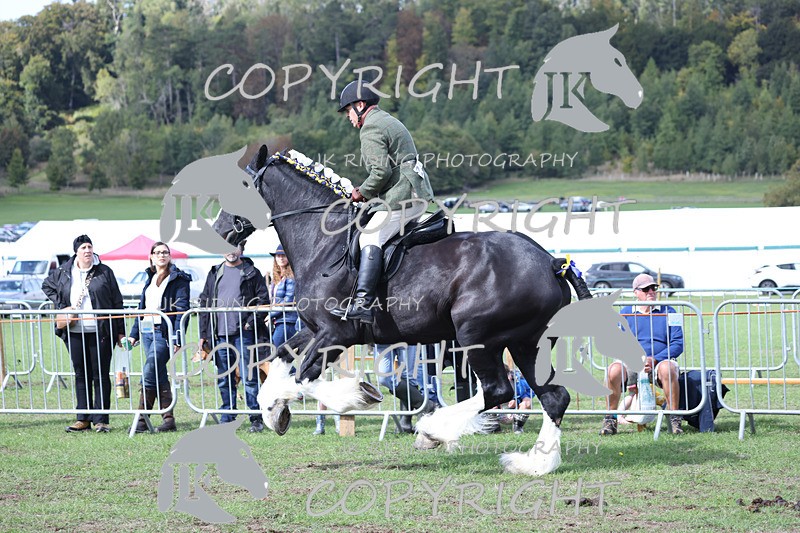 APP_3667 - Class 8 Ridden Class