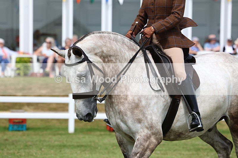 3E7A0258 - Class 6: Rising Star Maxi Cobs