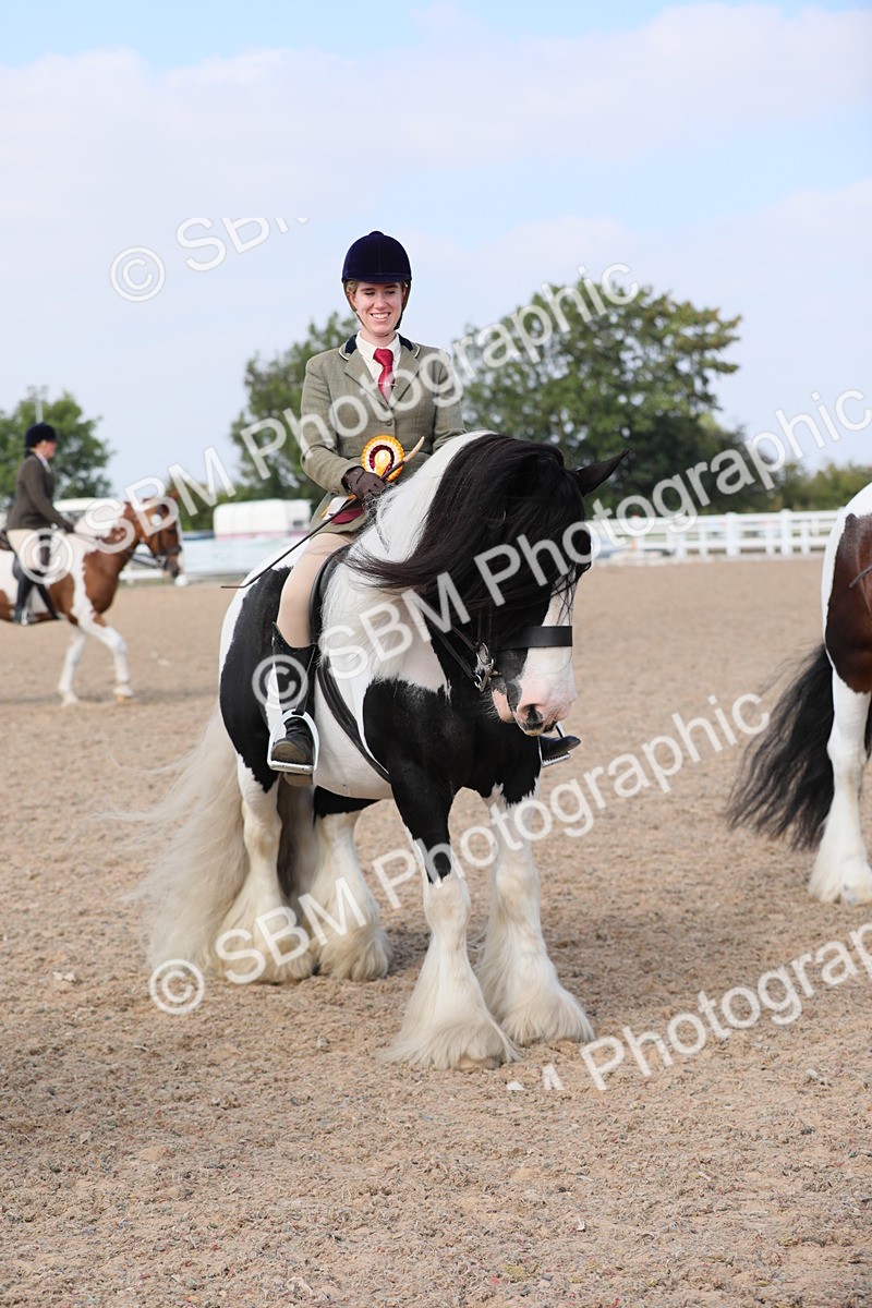 SBM_13525 - Class 308 Ridden Coloured Horse