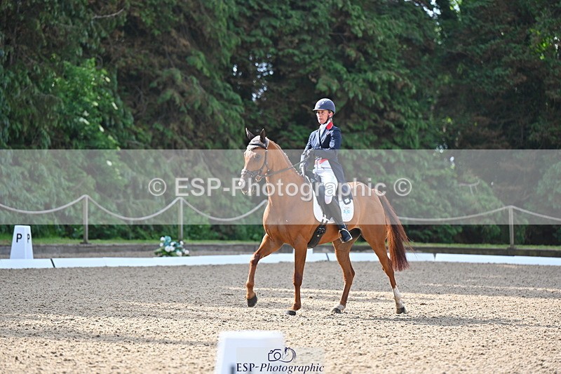 250523A-091501-05480 - D-453-Daisy.Berkeley-DIESE.DU.FIGUIER