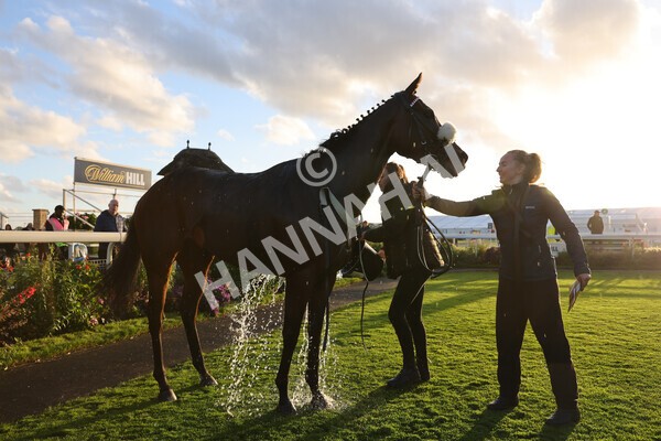 yr07102022r7-60 - Race 7 5.35pm IRE Incentive, It Pays To Buy Irish Stakes