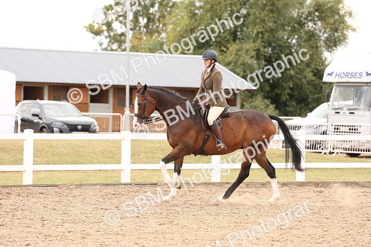 SBM_17242 - Class 213 - Ridden Hunter - Large