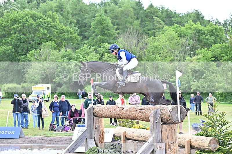 250525A-121805-15971 - D-409-Kirsty.Chabert-HERALDIKS.GIRL.OPPOSITION