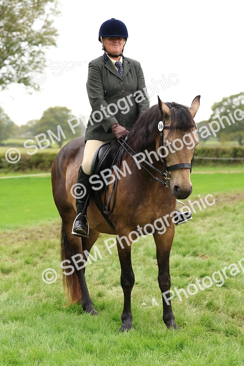 SBM_45040 - S27 - Young Veteran Ridden