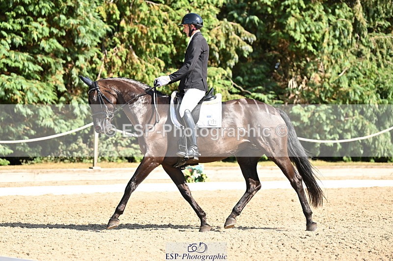 250808A-161956-01900 - 127-Joe.RoomeMonarchs.Way.Her.Grace