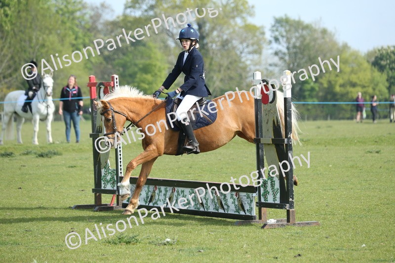 20260426-0151 - Class 13 - Rookie Jumping 50cm