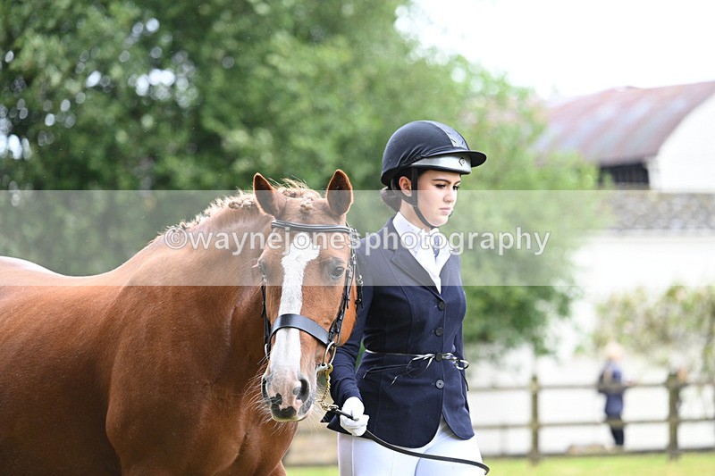 WJ7_6024 - Class 4a Prettiest Mare over 14hh