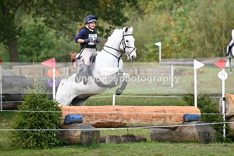 WJ6_1971 - 80cm Cam 1 Time 10:47 to 11:22