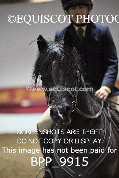 BPP_9915 - CLASS 4 50CM