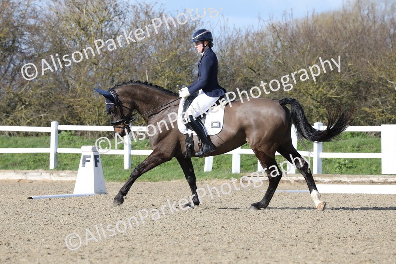 20260314-5049 - CT6 - Elementary 1