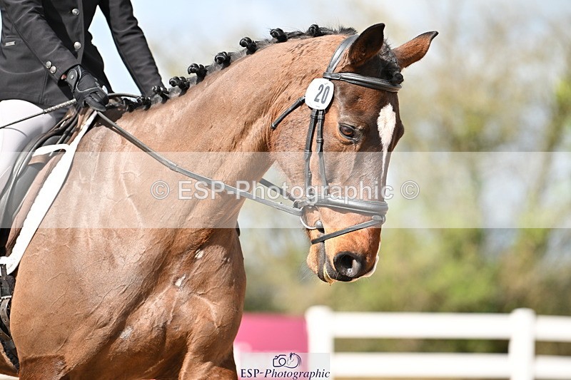 240324A-111418-01178 - Novice 34