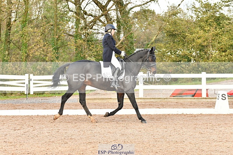 231104A-141003-00734 - Cls 18 FEI PSG