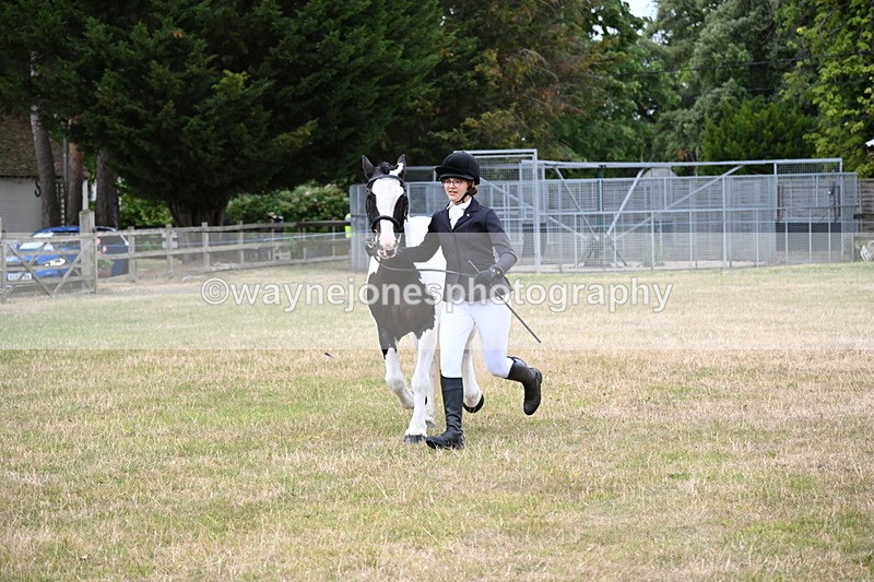 WJ6_4253 - Class 10 Coloured In-hand