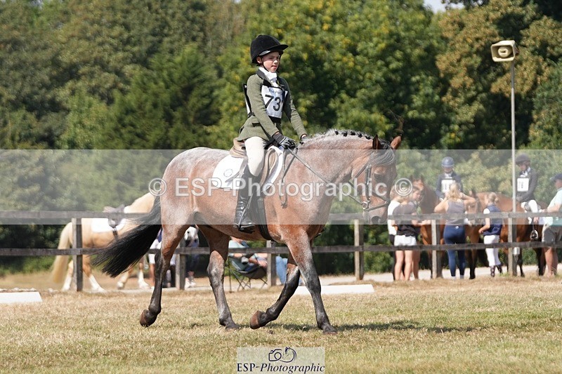 250823A-133336-31220 - Arena A