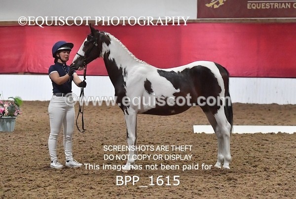 BPP_1615