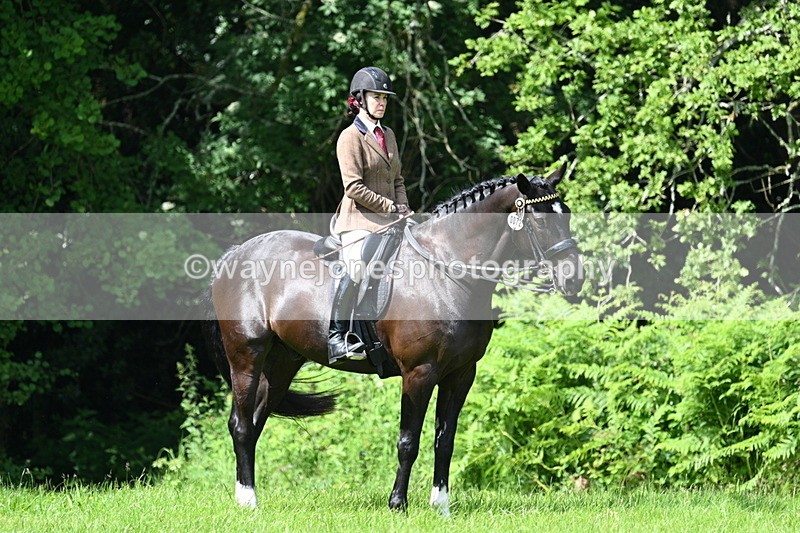 WJ7_1246 - Class 11 Condition & Turnout