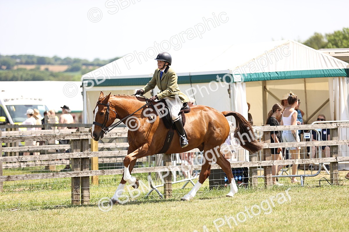 SBM_15117 - Class 79-80 - LIHS BSHA Rising Star Ridden Hunter