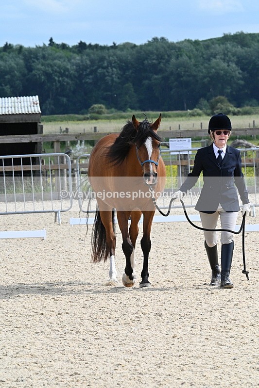 WJ7_8226 - Time 16:10 to 16:25