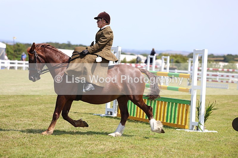 3E7A9653 - Class 13: Side Saddle
