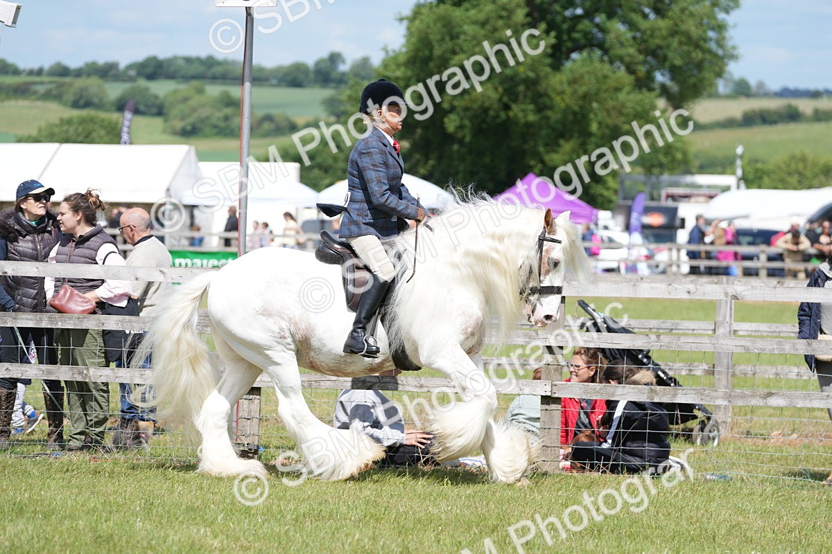 SBM_17117 - Class 107-108 - LIHS BSPS Performance Coloured Horse Pony