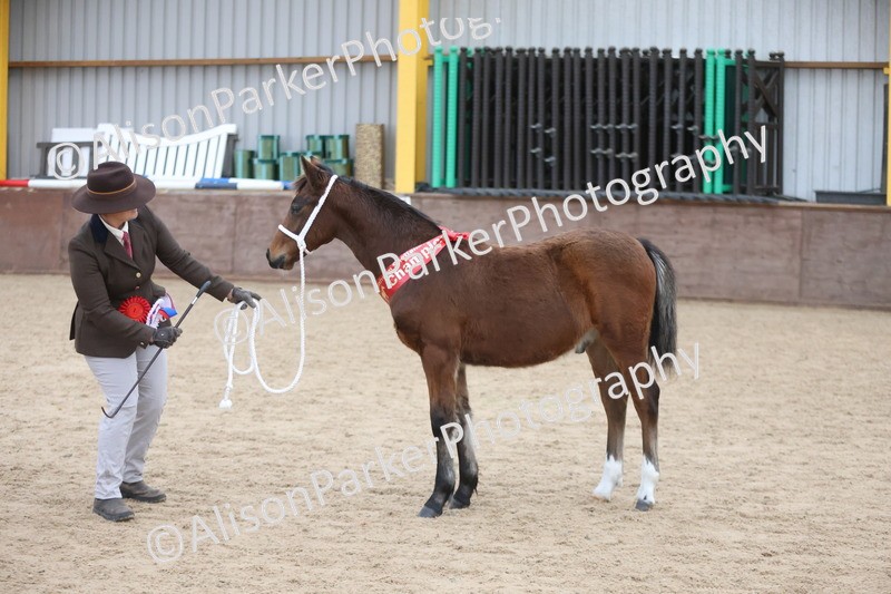 20251109-1177 - Championship