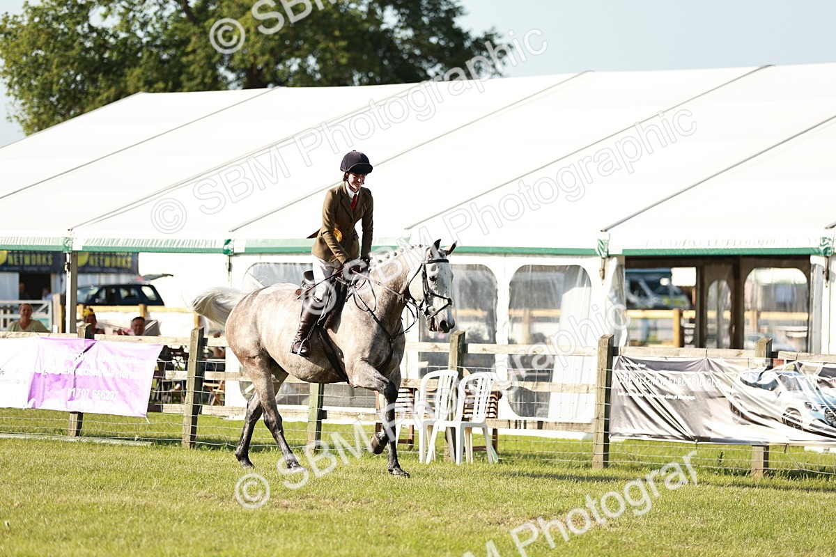 SBM_20062 - Class 115-116 - LIHS BSHA Rising Star Working Hunter & Show Horse