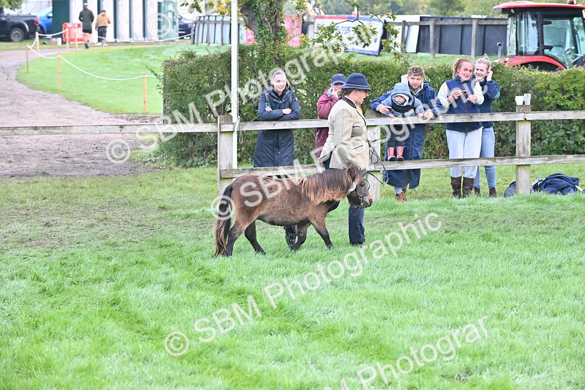 SBM_54604 - S44 - Youngstock In Hand