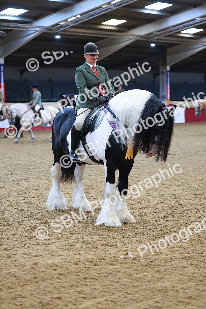 SBM_09862 - Class 102 - HOYS Veteran Qualifier - Ridden Veteran