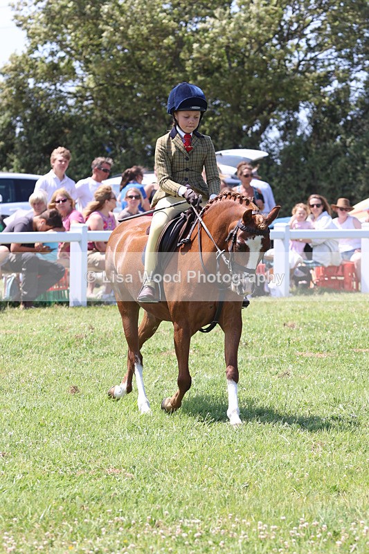 JPP_2754 - Class 21: Working Hunter 60cm
