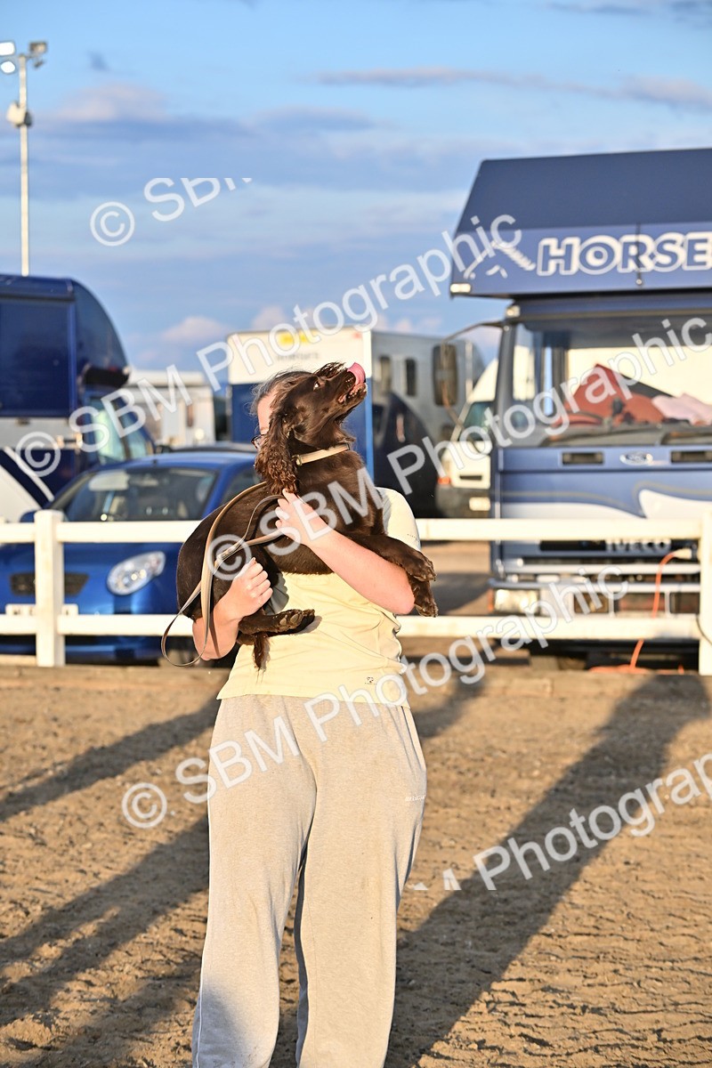 SBM_09680 - Lorry Dogs