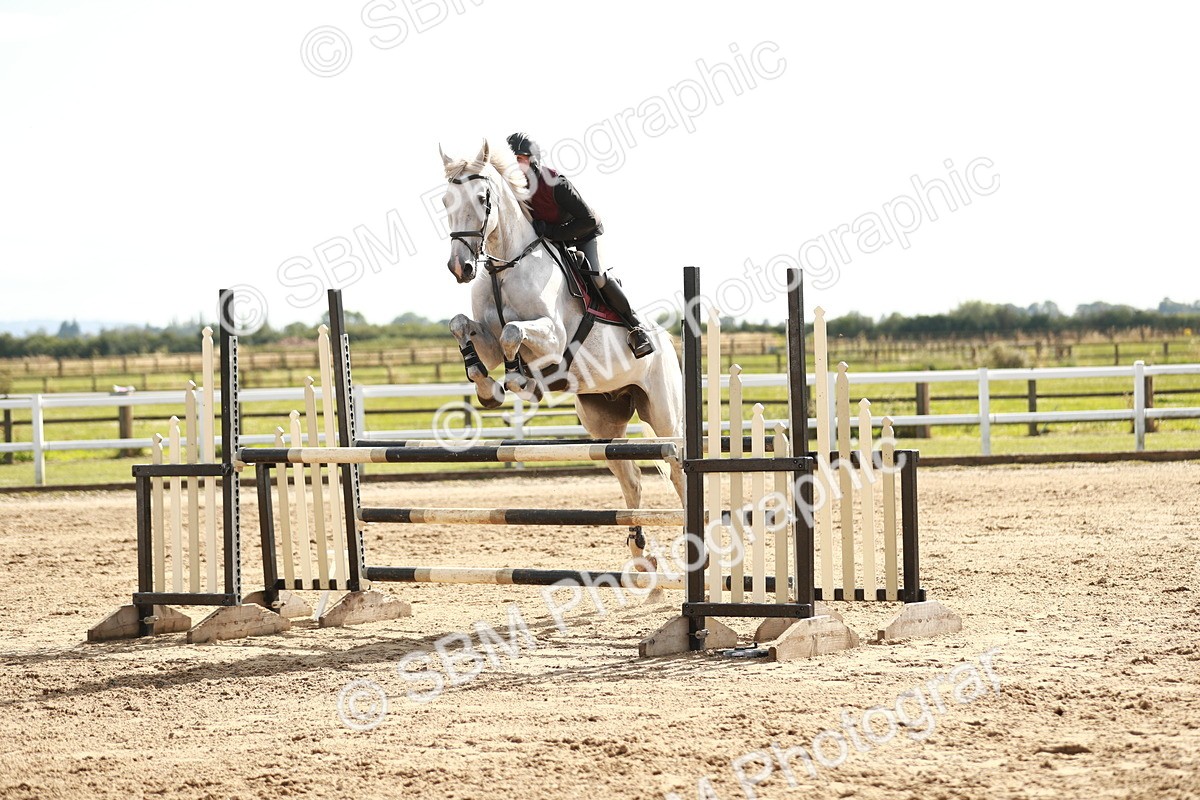 SBM_006904 - Class 5 - Senior Newcomers - 1.10m Open