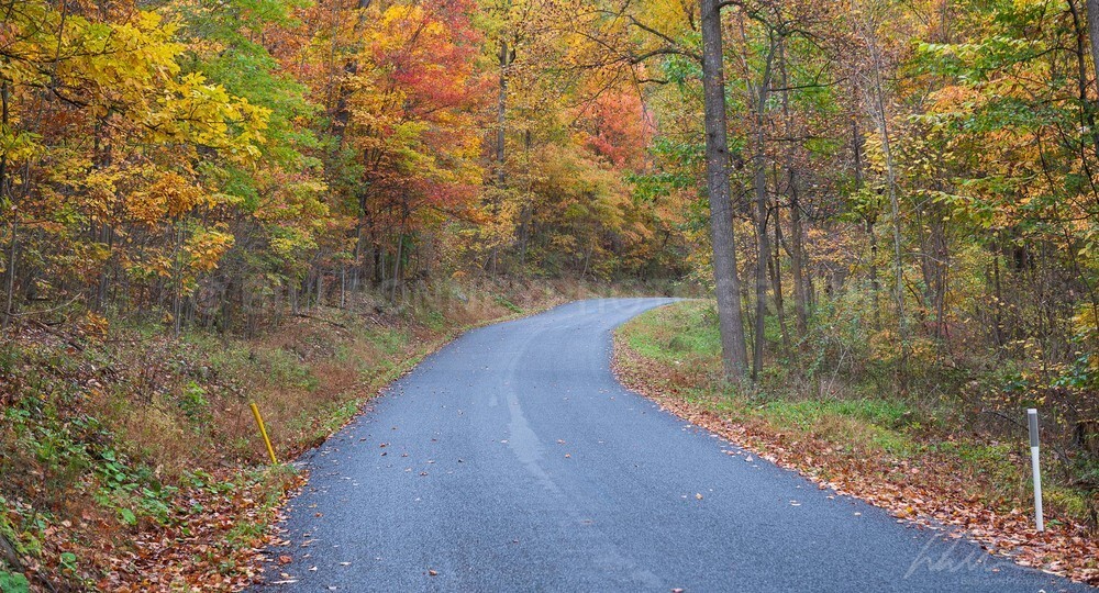DSC_9036 - Roads