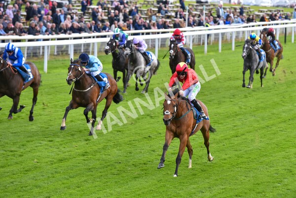 yr11052022r3-23 - Race 3 3.00pm 1895 Duke of York Clipper Logistics Stakes