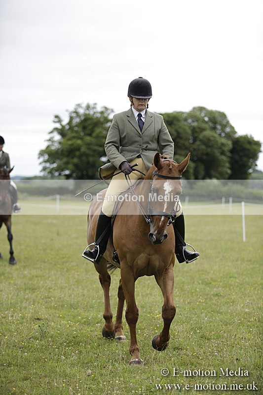 BVR160717-796 - Ring 1 BVRC Show 16/07/17