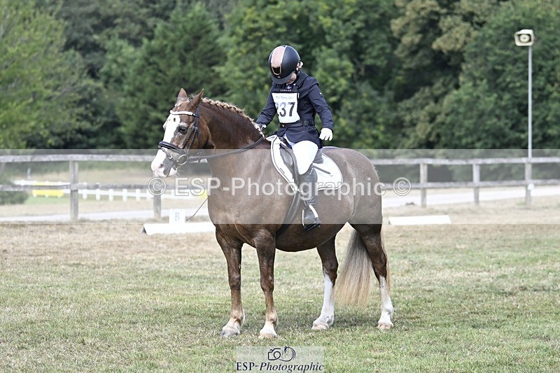 250821A-123400-15593 - DR 11.00 to 12.00