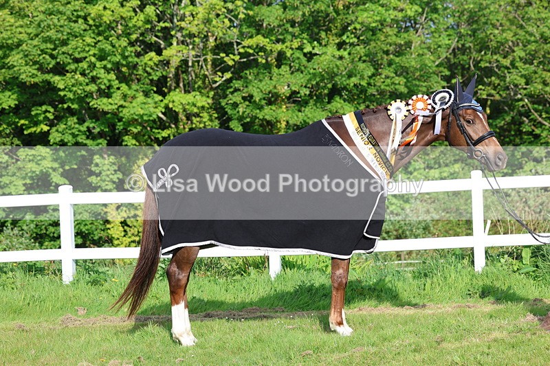 3E7A0258 - Verity Perry