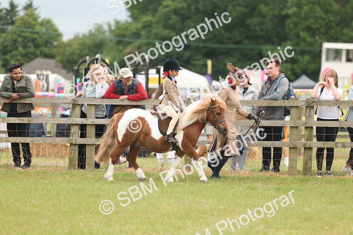 SBM_06686 - Class 74-75 - M&M Lead Rein and First Ridden Pony