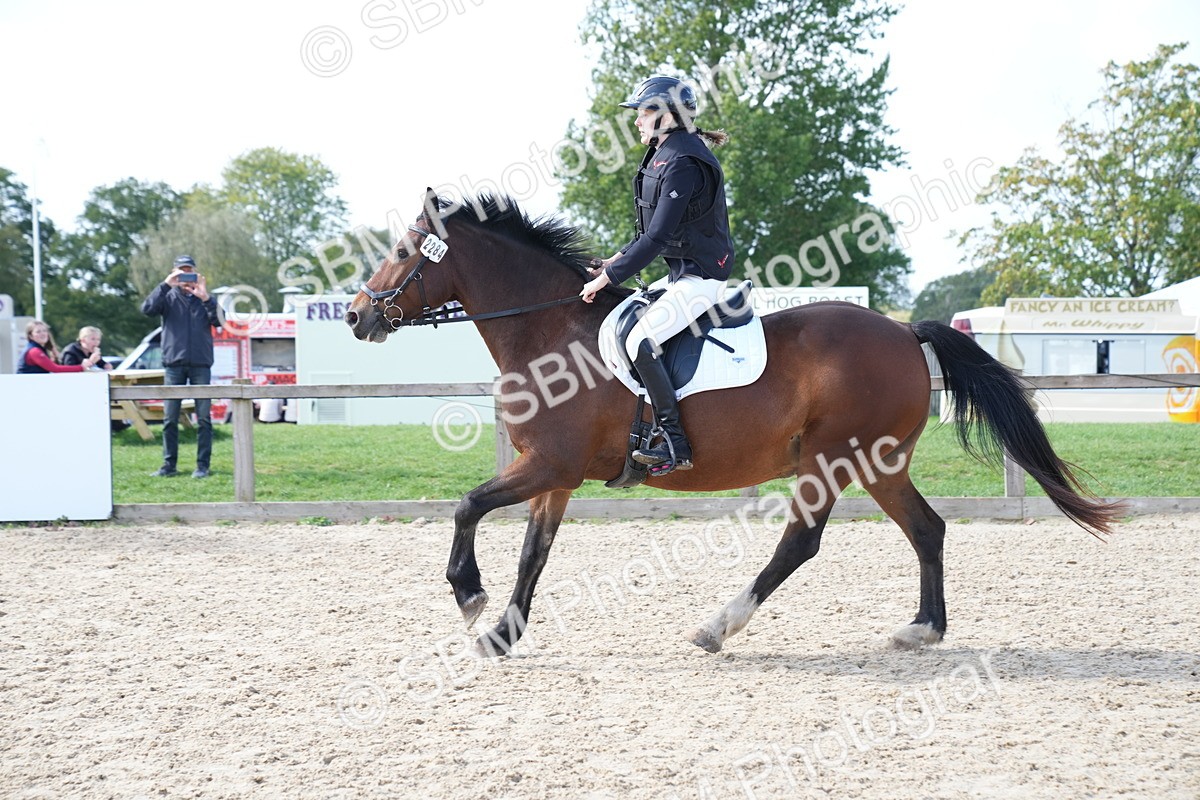SBM_06032 - J56 - Clear Round 70cm
