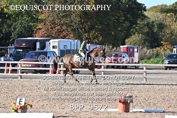 BPP_9572 - SHORT ARENA