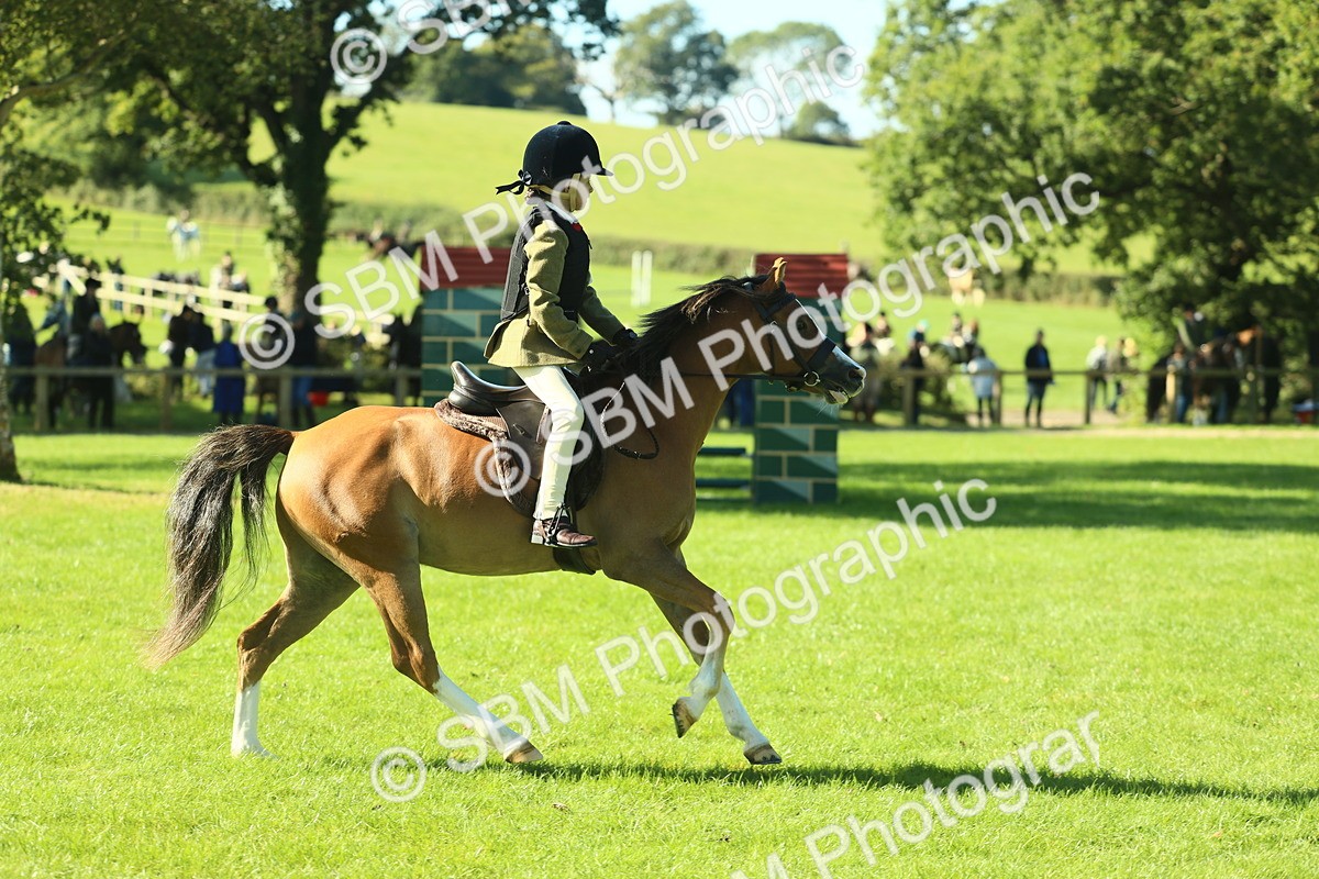 SBM_37419 - S29 - Novice & Newcomers Working Hunter Pony