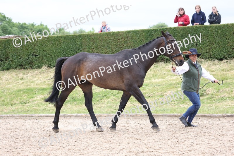 20250524-0771 - Class 7 - Veteran