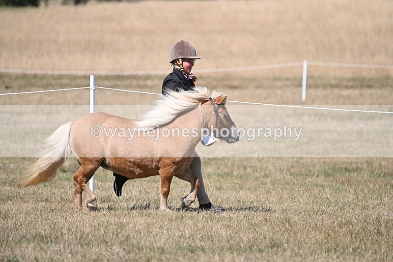 WJ6_9288 - Championship Classes 33-38