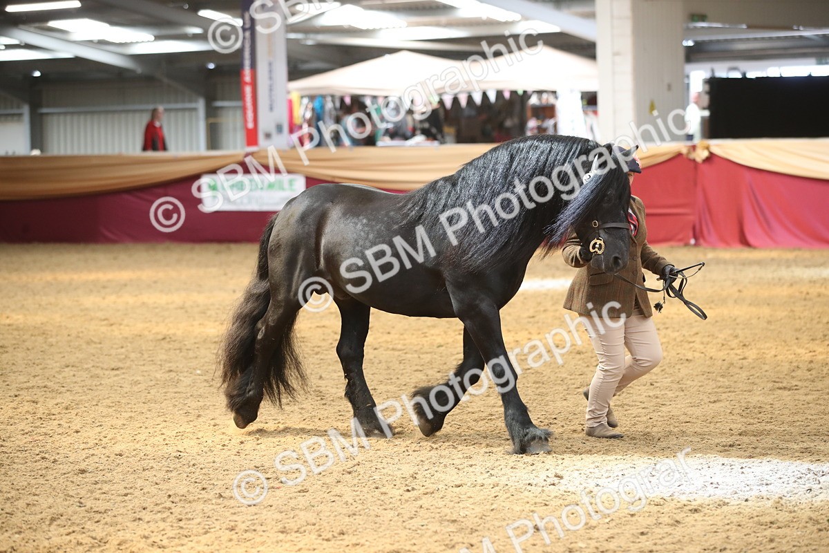 SBM_05334 - Class 8R - Regional IH Veteran