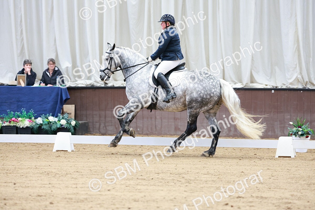 SBM_007117 - Class 6b - Novice 6 - 8.56-9.24