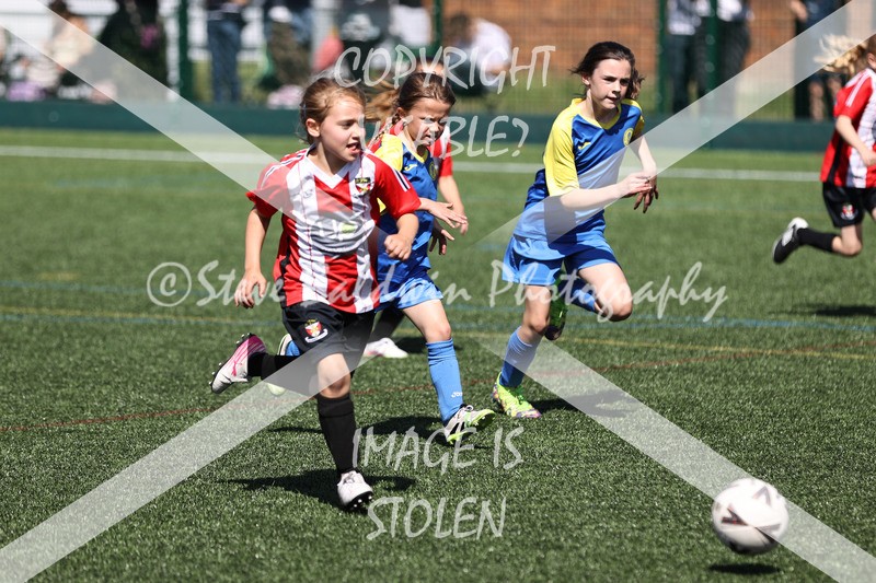 1DX33345 - Sat 13th U7 & U8 Girls