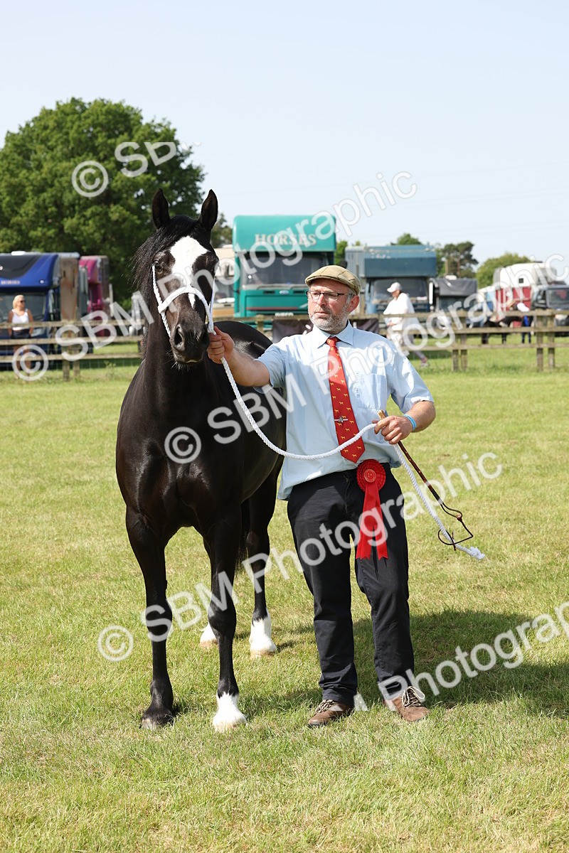 SBM_02262