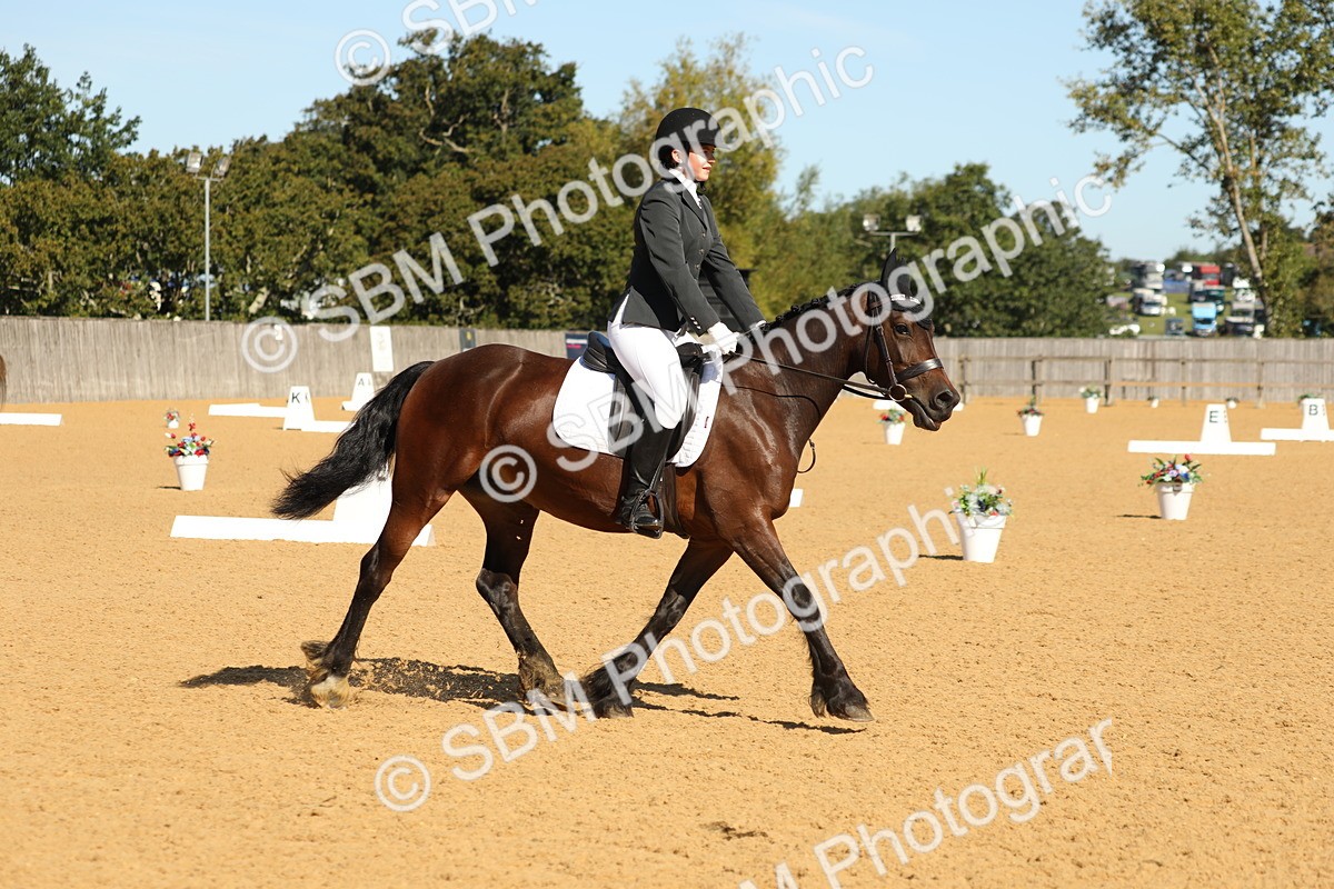 SBM_18795 - D10 - Small Tour Championship - Prelim 2